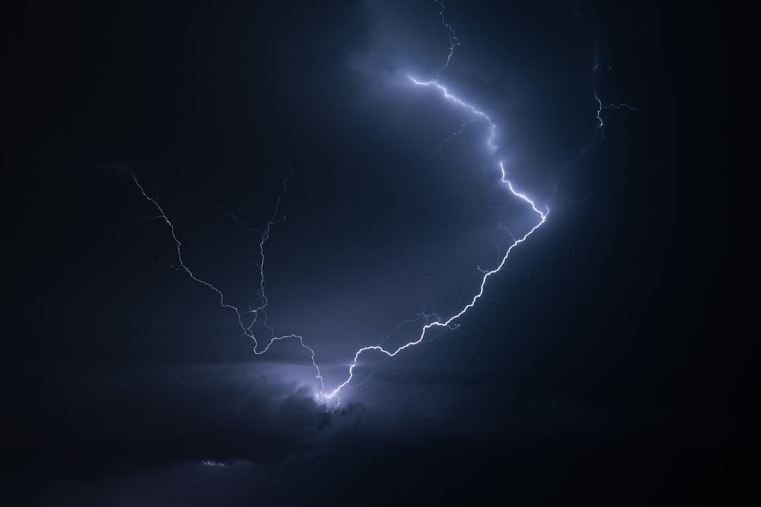 《子夜归》梅逐雨身份揭秘 梅逐雨是半妖吗？